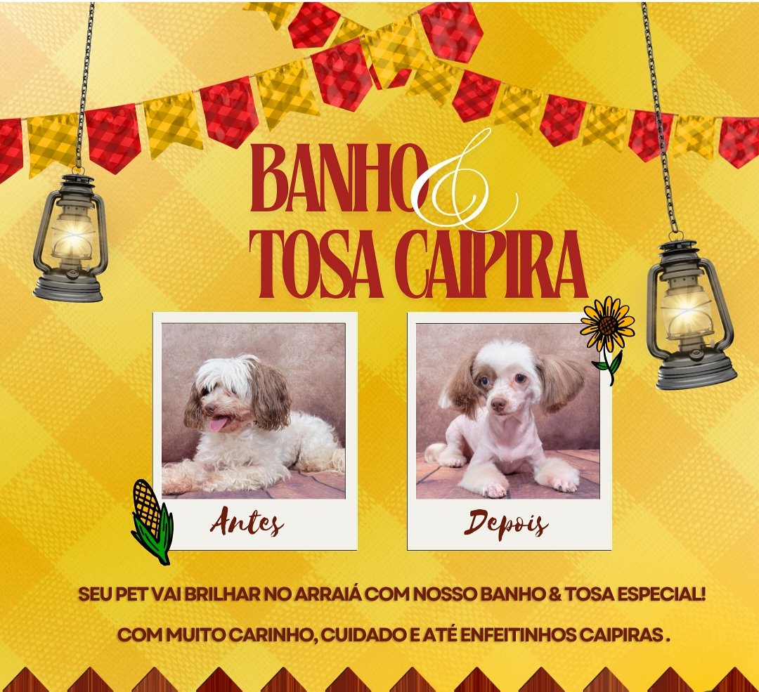 Medicão Clínica Veterinária