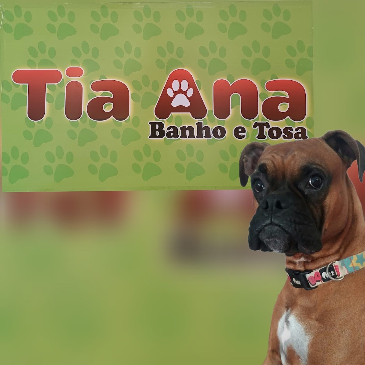 Tia Ana Petshop Banho e Tosa