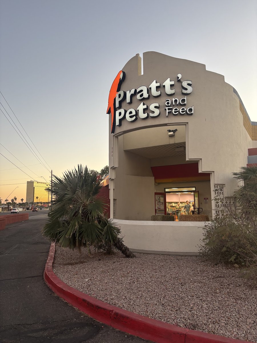 Pratt’s Pets - Mesa