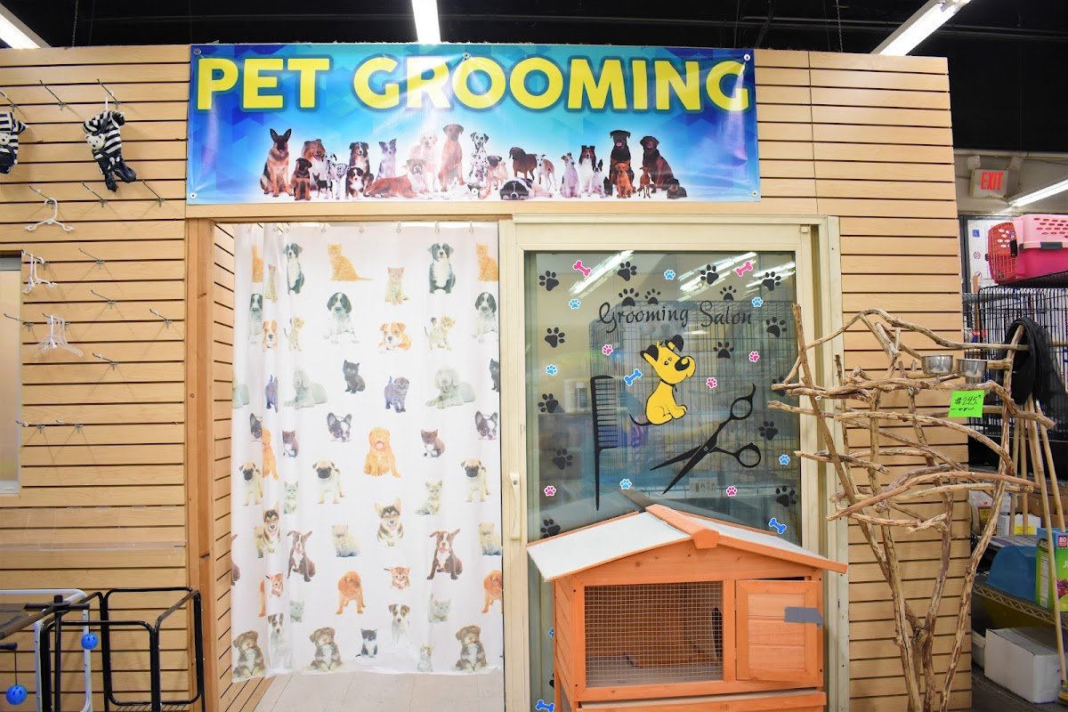 Tweety Brothers Pet Shop