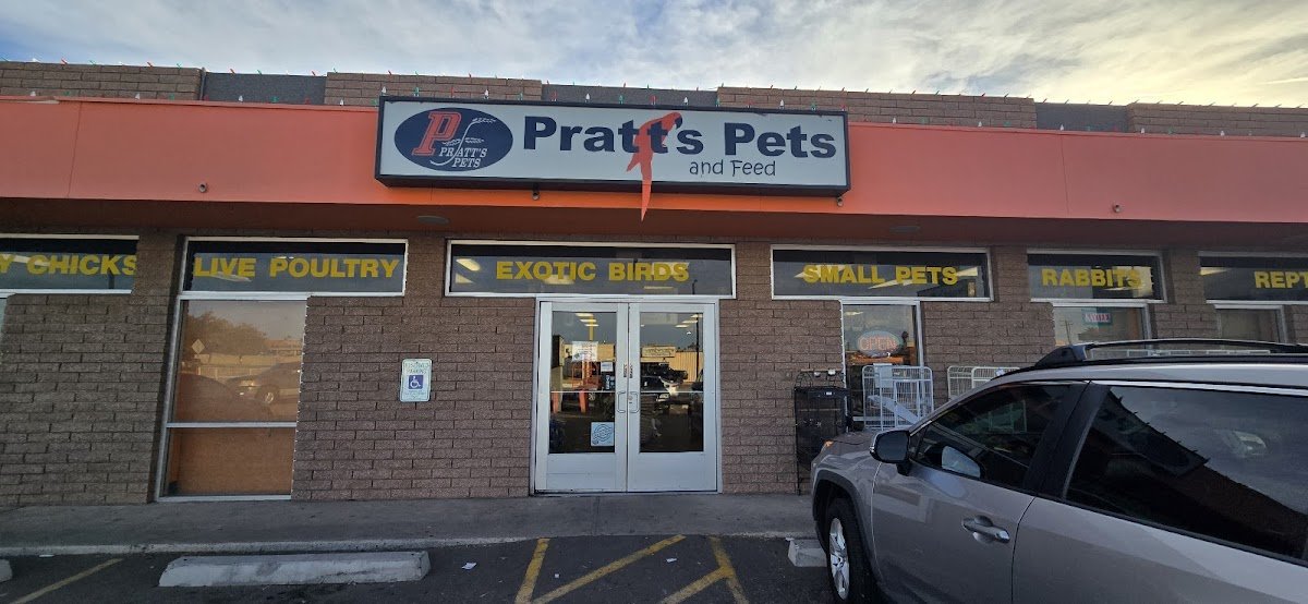 Pratt's Pets - Glendale