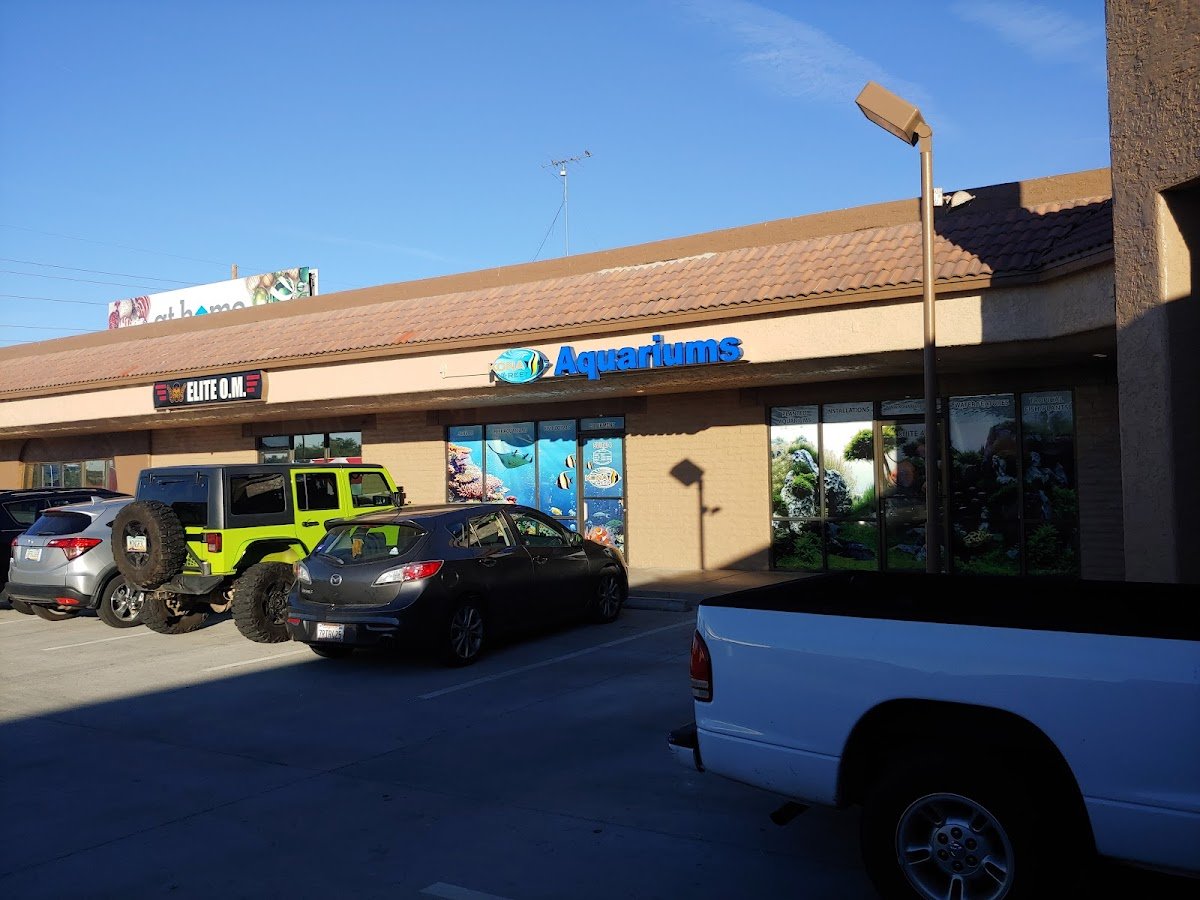 Kona Reef Az - Phoenix