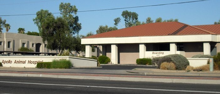 Apollo Animal Hospital