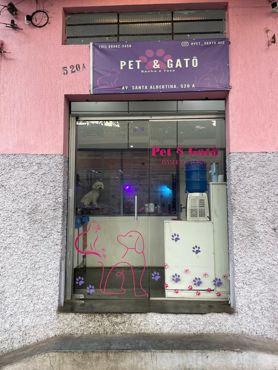 Pet & Gatô Groomer