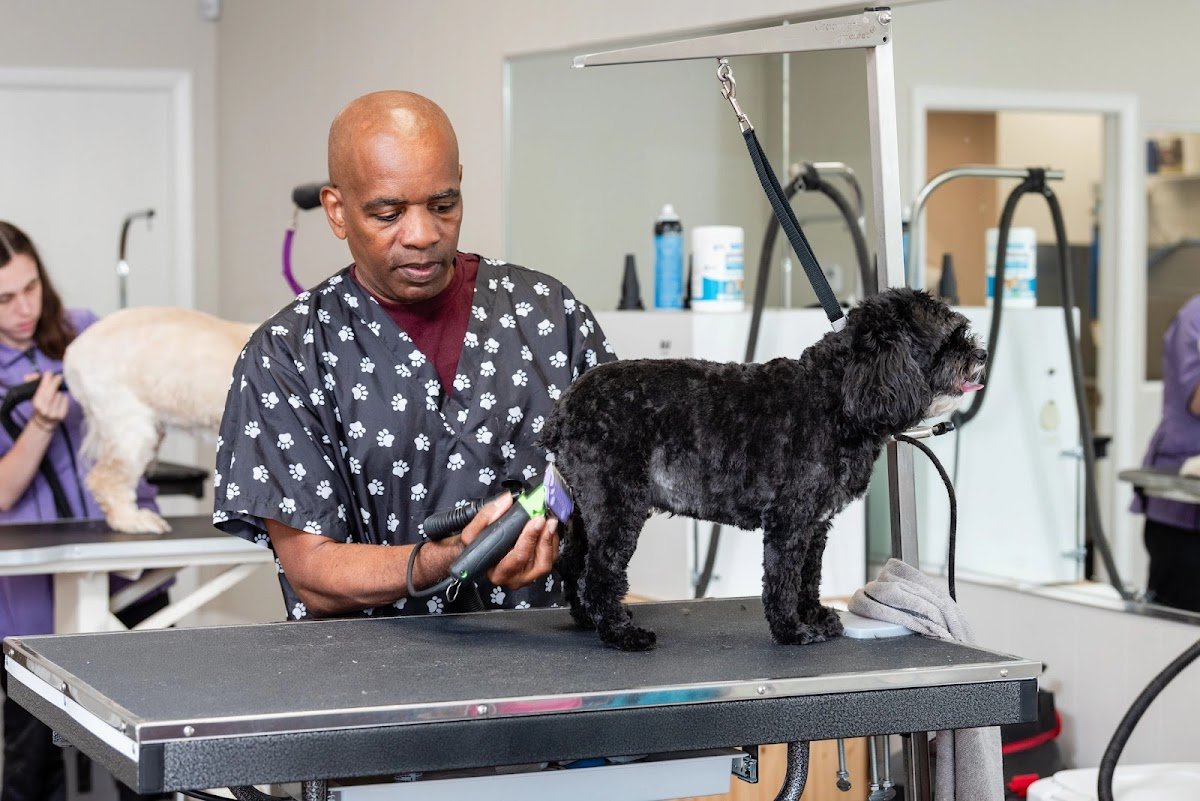 4 Legged Barber Shop