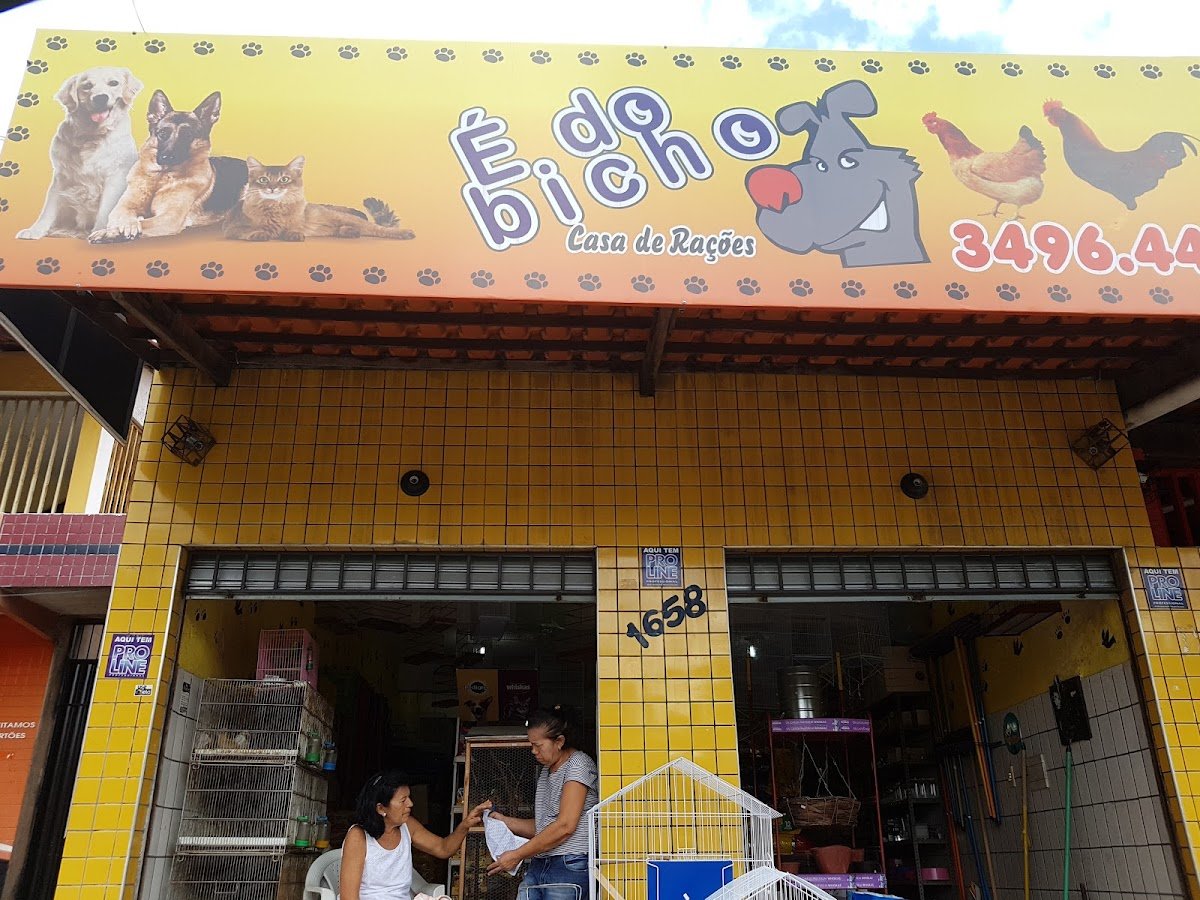 É do bicho-Pet Shop