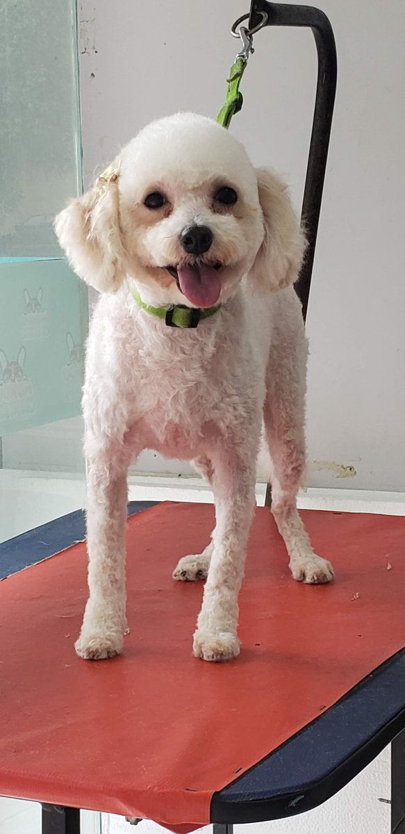 Pet Shop Mundo Canino