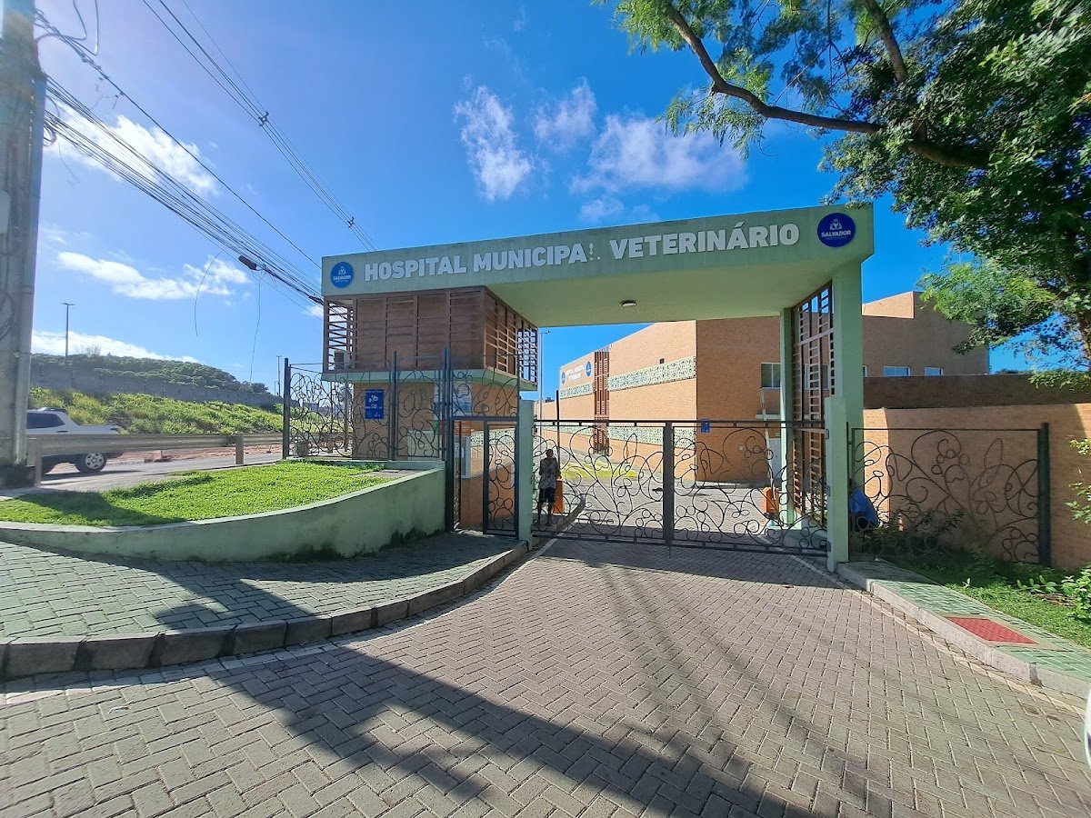 Consultório Veterinário