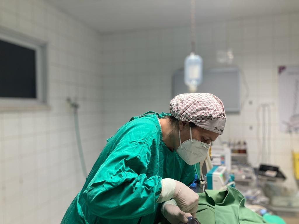 Ponto Pet Veterinaria