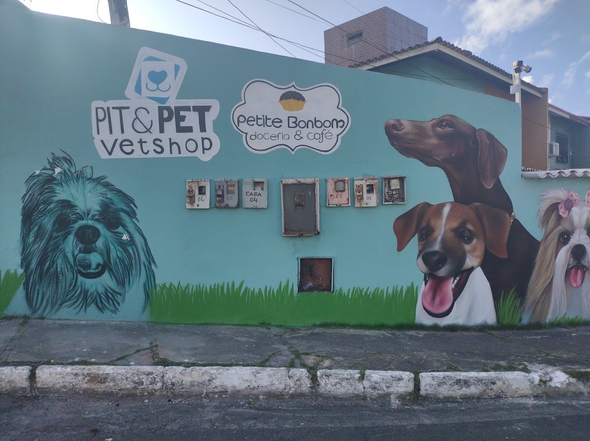 Clinica Veterinária Pit and Pet