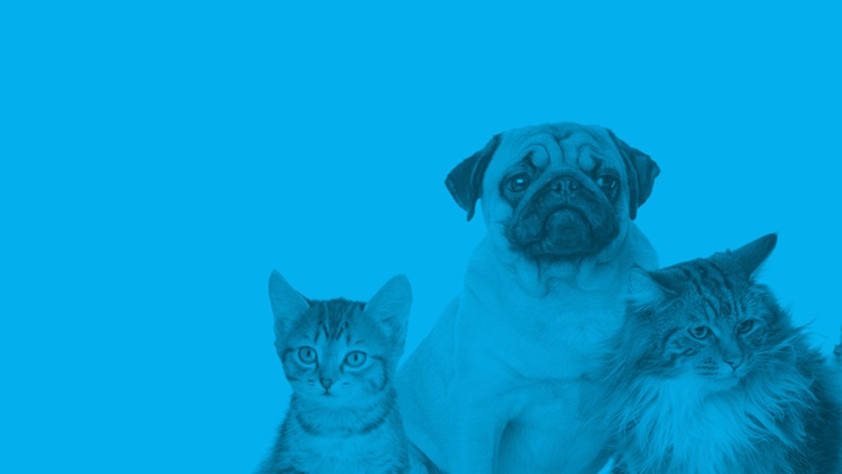 Unipet Plano de Saúde Veterinária