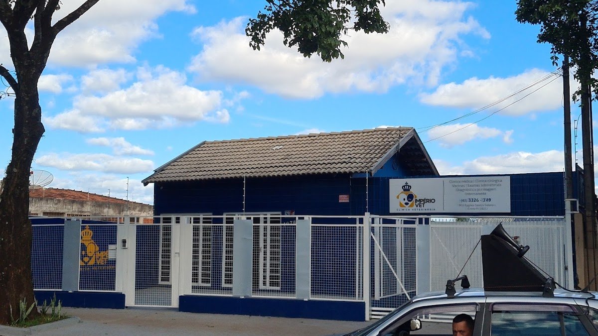 Pet Shop Cat e Dog Quintino