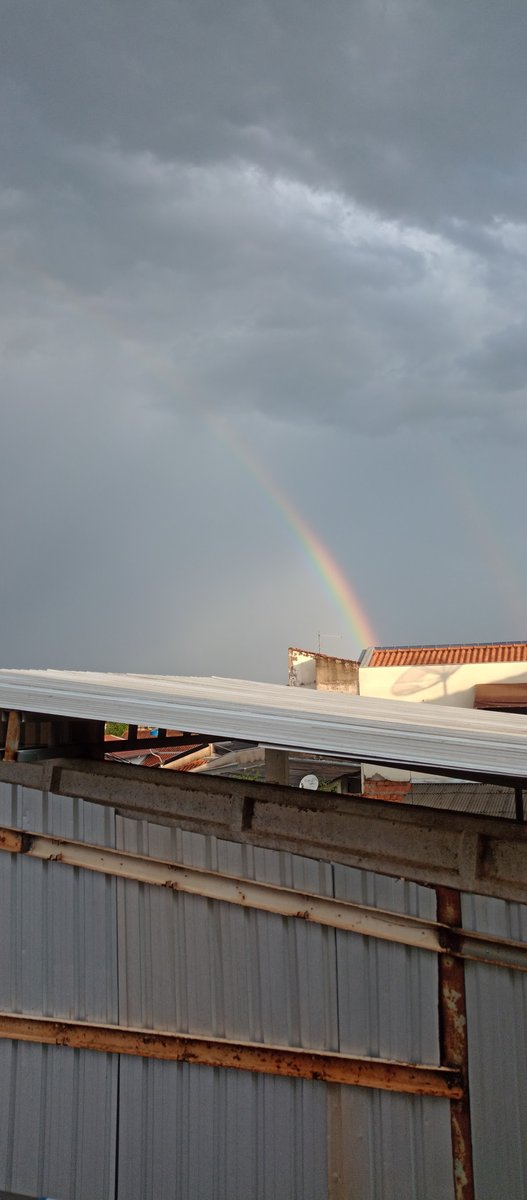 Pet Shop Cãopanheiro