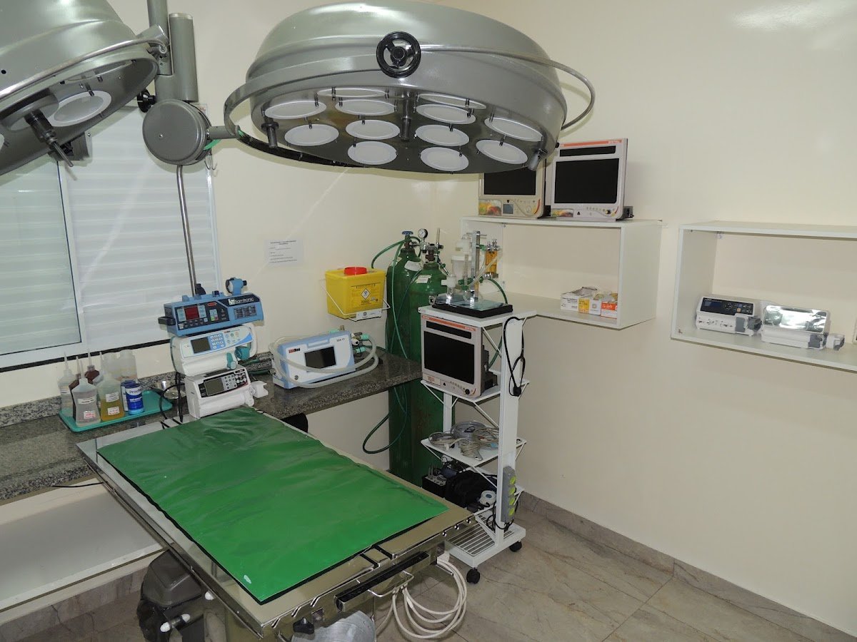 My Pet - Clínica Veterinária