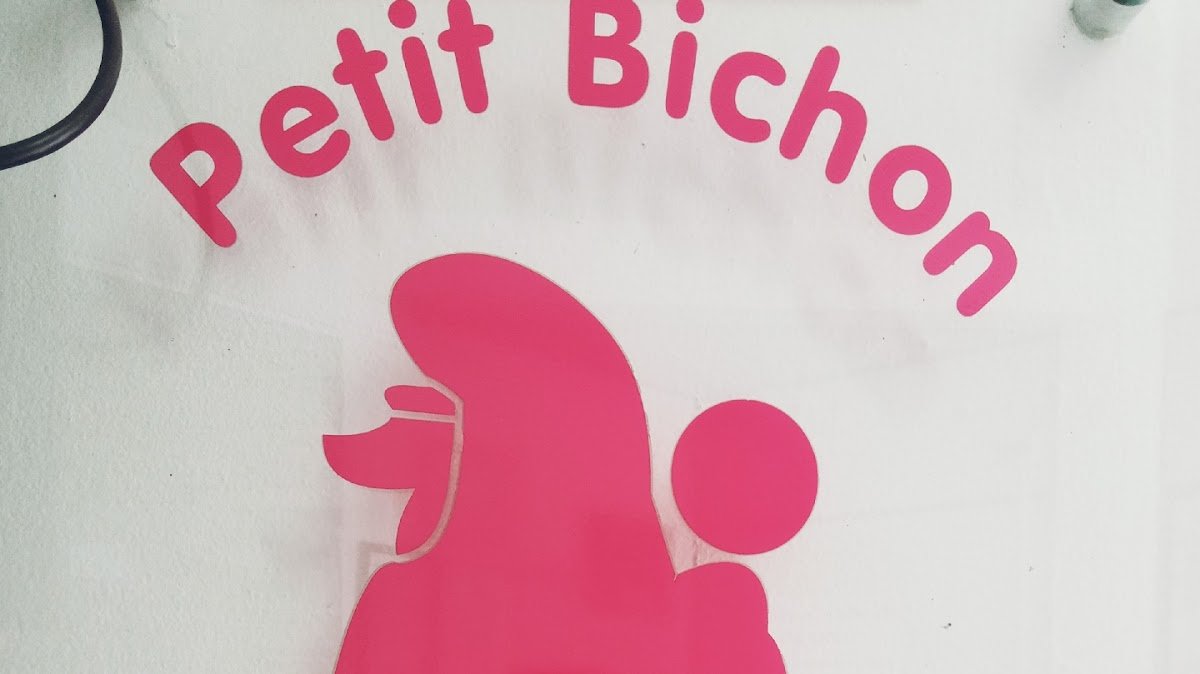 Petit Bichon