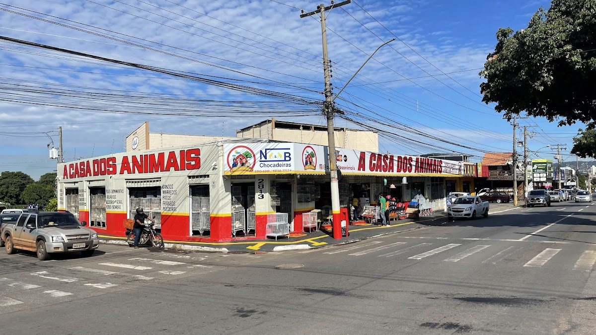 THE HOUSE OF ANIMALS