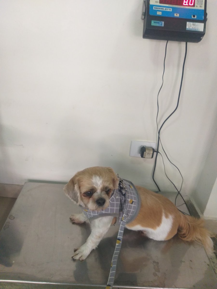 Animal Health Veterinary Clinic