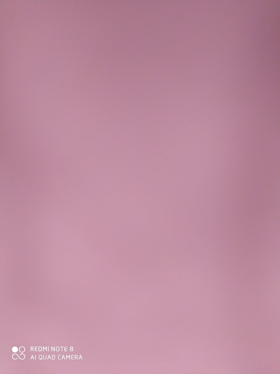 Bicho Chic Pet Service